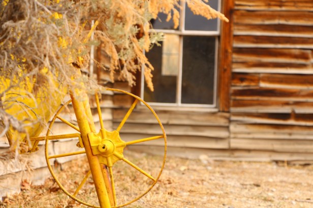 A8ThemeJonathanHoranWheelBa